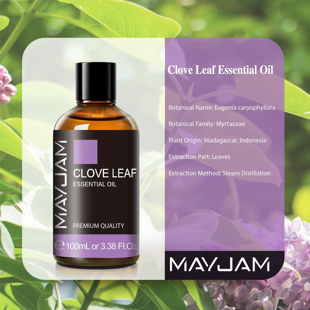 Clove Juniper Ginger Cajeput Cypress Pine Neddles Vetiver Tangerine Sandalwood May Chang 100Ml Natural Essential Oils
