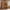 2 - Person Bluetooth Compatible FAR Infrared Sauna