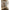 Roslyn 4-Person Infrared Cedar Sauna