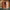 4-Person Cedar Corner Infrared Sauna